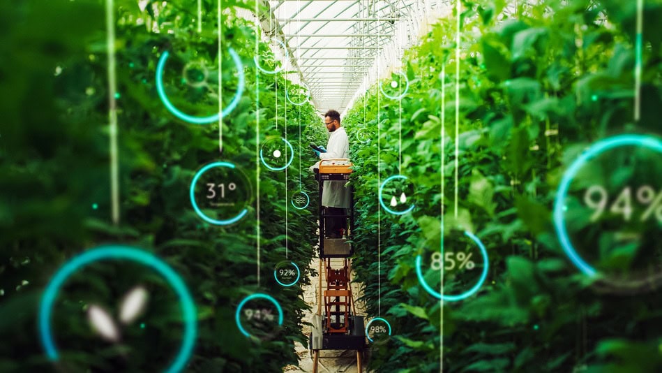 El uso de la inteligencia artificial en las empresas mejora la eficiencia y acelera la transformación digital