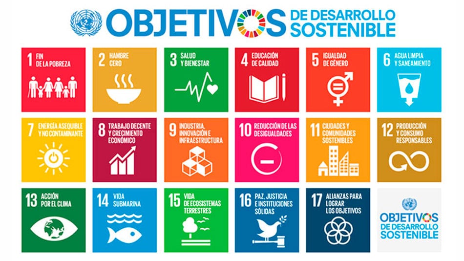 A través del Pacto Mundial, las Naciones Unidas convocan a las empresas a convertirse en agentes activos del cambio, incorporando los ODS en el corazón de su estrategia y cultura organizacional.