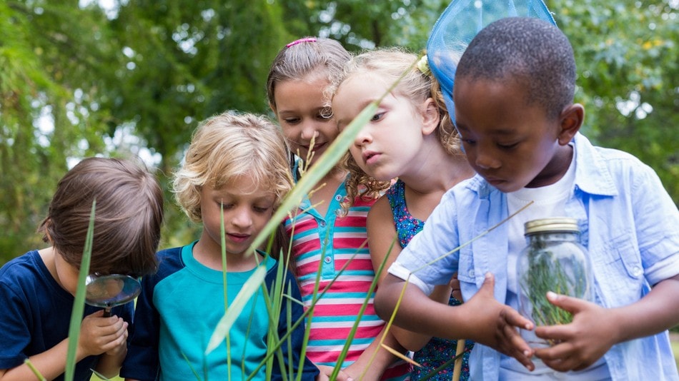 Cada tipo de inteligencia múltiple y sus ejemplos reflejan diferentes formas en que las personas utilizan sus habilidades para aprender y en qué pueden destacar