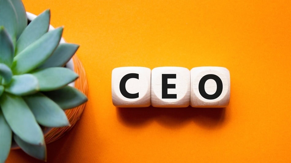 CEO - s&iacute;mbolo de director ejecutivo. Concepto palabra CEO en cubos