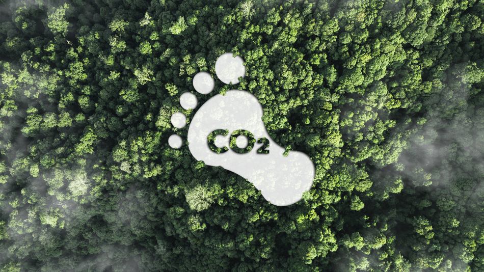 La huella de carbono es la cantidad de gases de efecto invernadero que generan las actividades de una persona, empresa o servicio