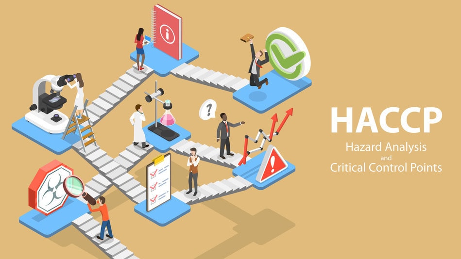 ilustraci&oacute;n concepto de HACCP