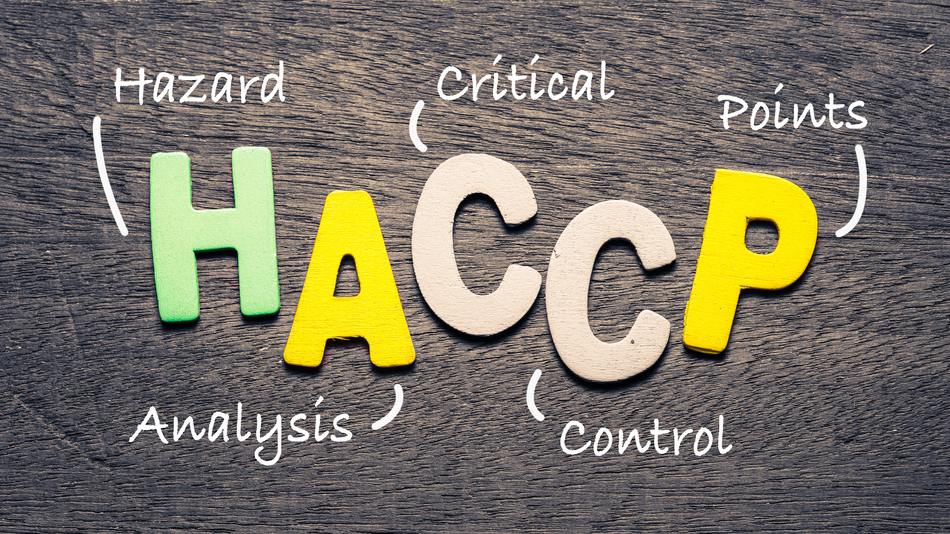 el sistema HACCP es considerado como un estándar global dentro de la industria alimentaria