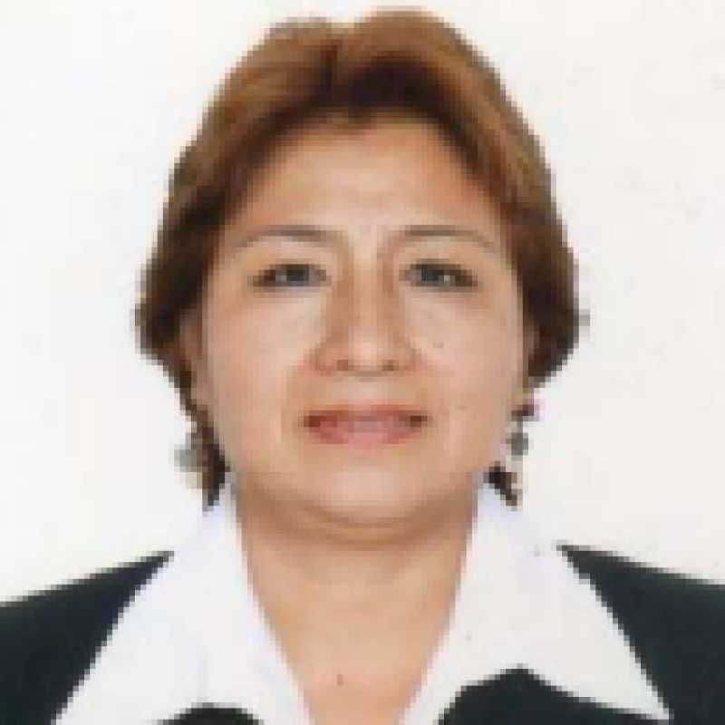 Lily Margarita Padilla Carrasco, Experta asociada