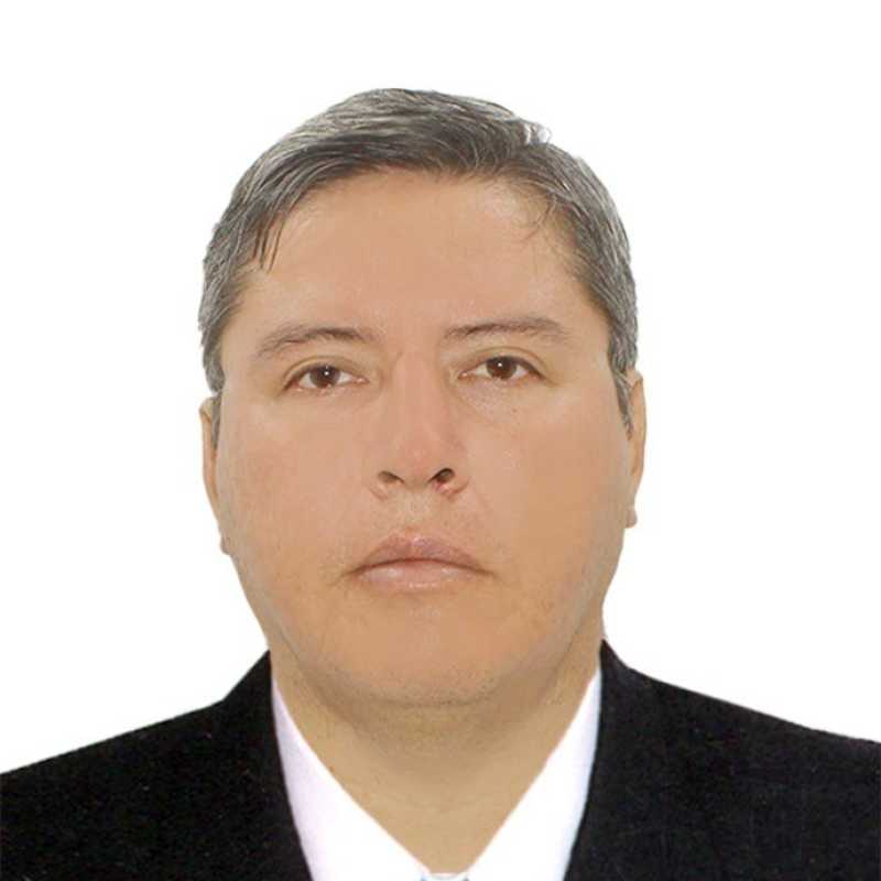 Luis Francisco Vasquez Costa, Experto asociado