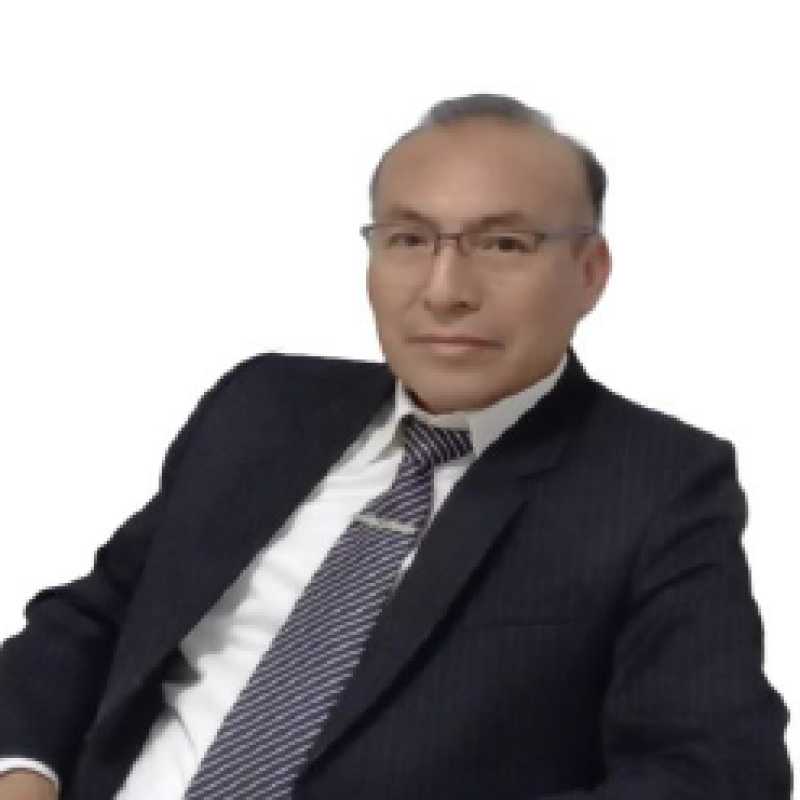 Martin Castro Santisteban, Experto asociado