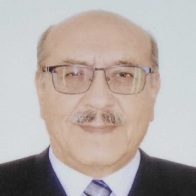 Saúl Valdez Romero, Experto asociado